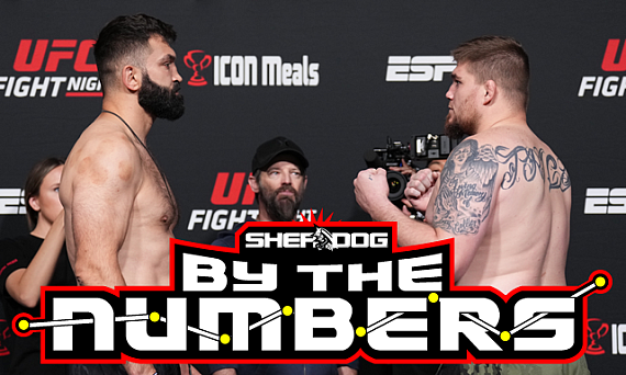 By The Numbers Andrei Arlovski Vs Jake Collier 